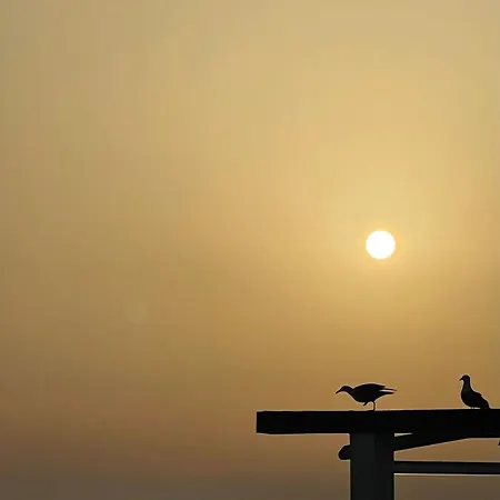 Penthouse Perpignan アパート アルゲーロ