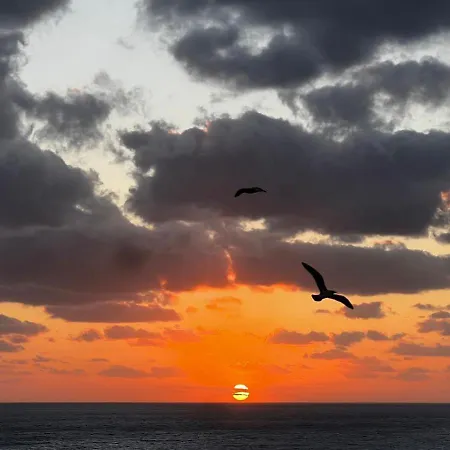 Penthouse Perpignan * アルゲーロ