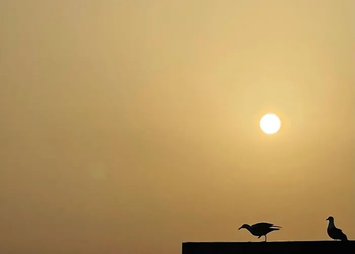 Penthouse Perpignan Appartement Alghero