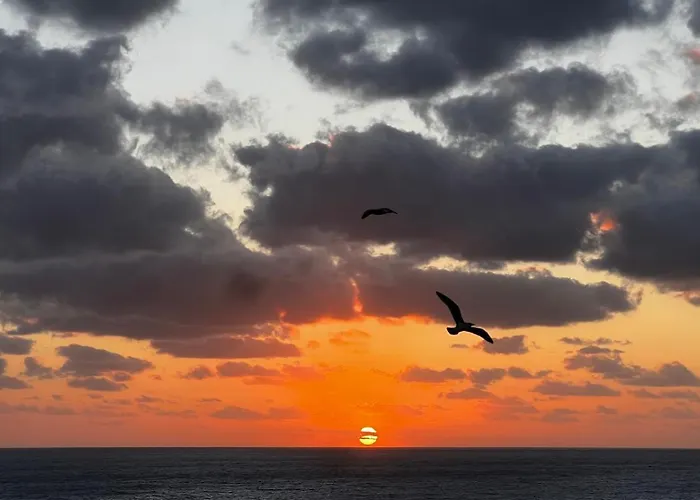 Penthouse Perpignan * Alghero